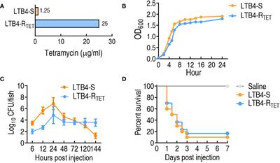 Aspartate metabolic flux promotes nitric oxide to eliminate both antibiotic-sensitive and -resistant Edwardsiella tarda in zebrafish